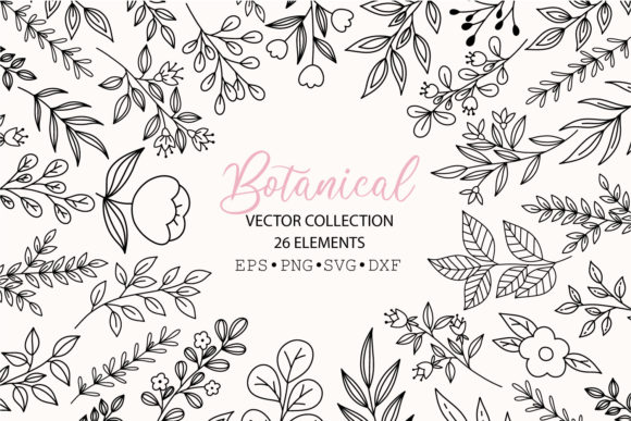 Download Botanical SVG Collection. 26 Elements. - Elements Collection